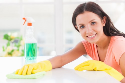 Professional pet stain odour removal process in a Surrey home