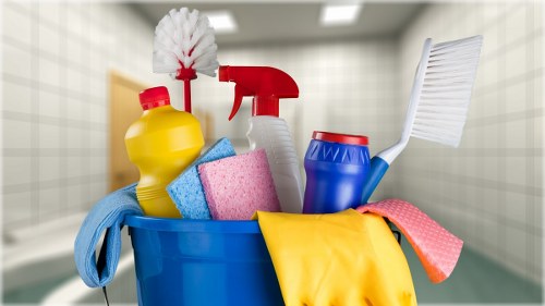 Professional carpet cleaning in a Surrey home with fresh results