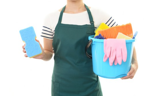 Professional upholstery cleaning in Surrey for a sofa