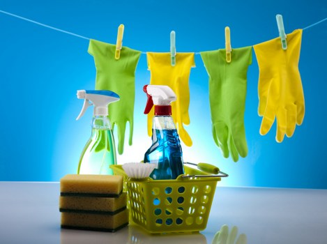 Deep cleaning treatment for pet urine odour in Surrey