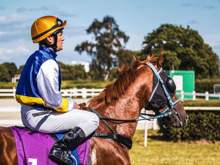 A jockey in a blue, white, and yellow racing silks, wearing a protective yellow helmet, rides a chestnut horse with a glossy coat on a racecourse with well-maintained grassy turf and white railings. T